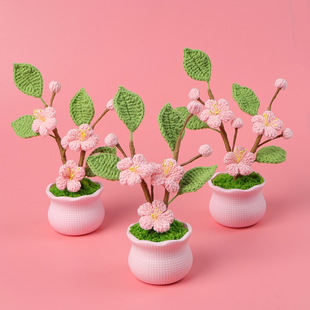 ��Ʒ�ֹ��h��ѩ�ƾ������һ����С������Ů�ķ��滨ֲ������[��