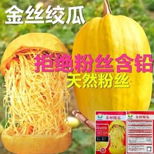 ��z�g�ϷN�ӽ�z�������ϷN���ϹϷN�̨�Nԭ�b�ļ��߲˷N�Ӵ�ȫ