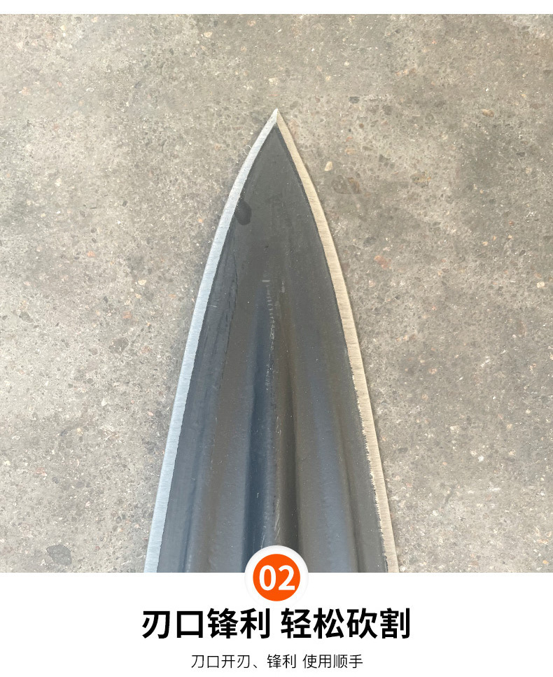 5a1544e2-ab78-404a-97f8-f73aa563a5c0.jpe