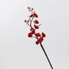 Zhongzhi plum red