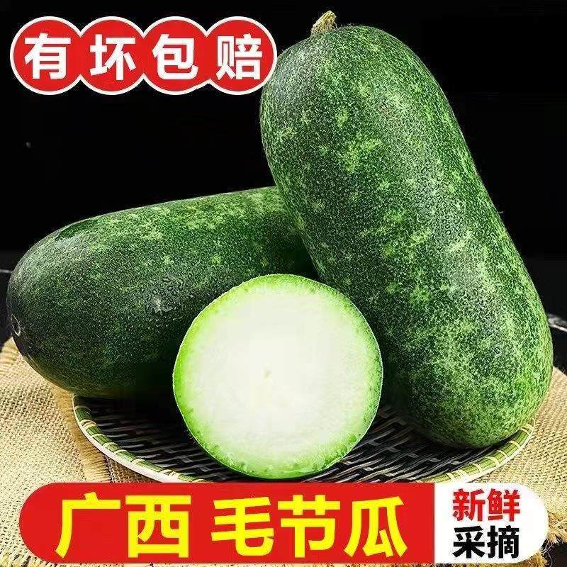 Fresh Mini Winter Melons from Guangxi, Green-Skinned Melons, Small Melons, Farm-Grown Fresh Vegetables, Seasonal Fruits and Vegetables, Freshly Picked Fresh Mini Winter Melons from Guangxi, Green-Skinned Melons, Small Melons, Farm-Grown Fresh Vegetables, Seasonal Fruits and Vegetables, Freshly Picked
