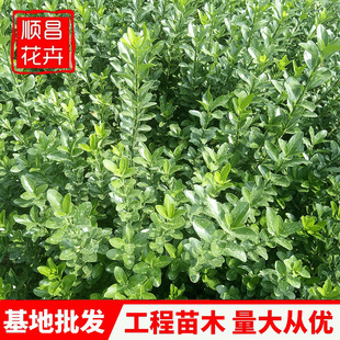 �lì�G�������� �������̾G�hֲ�� ͥԺ���^���޼��G�h��ľ���l