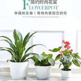 黄岩塑料产品有底座圆形塑料花盆