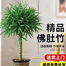 �������Է�����Ϙ��_�h���辰�Gֲ�����҃����k����ͥԺ�^�pֲ��