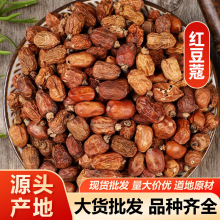 红豆蔻 红扣红寇香料调料中药材红豆蔻 包邮代磨粉量大从优