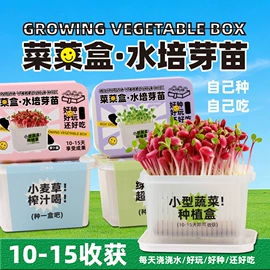 中性笔;橡皮擦;卷笔刀削笔器