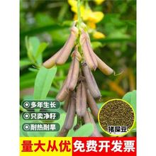 ľNiʺN^ؘ䶹SEA~ľo