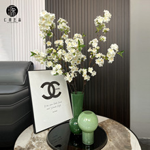 �������ѻ��һ�֦ �廨�zӰ�ٻ����� �@�־��^�쾰�Ҿӻ�ˇ�b�