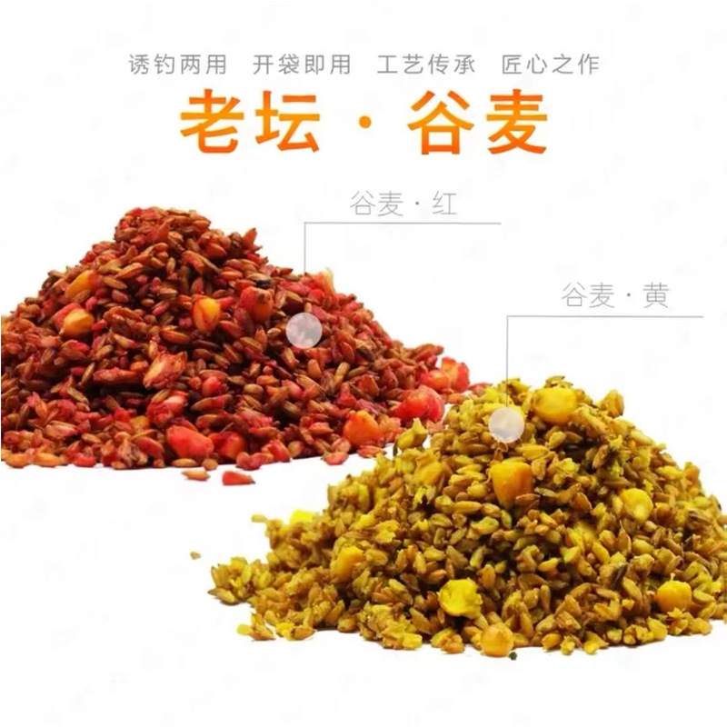西部風老壇谷麥垂釣餌料小麥玉米混合江河打窩料鯽鯉餌魚餌誘