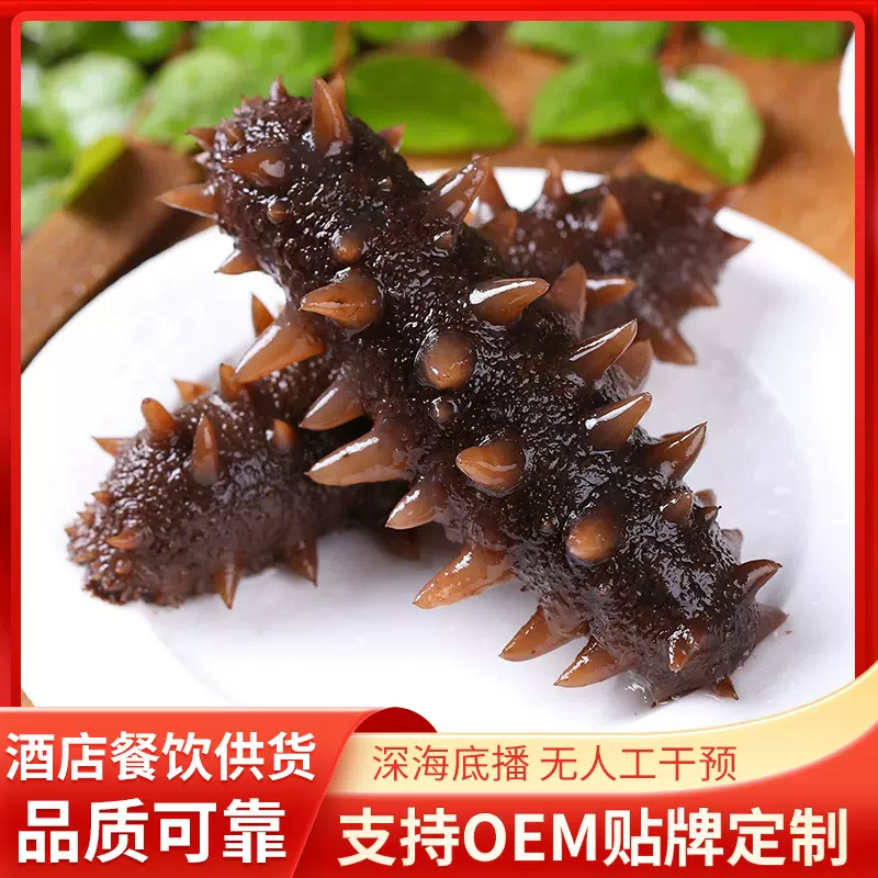 大连冷冻刺参即食海参鲜活辽刺参可代发真空包装开袋即食海参包邮