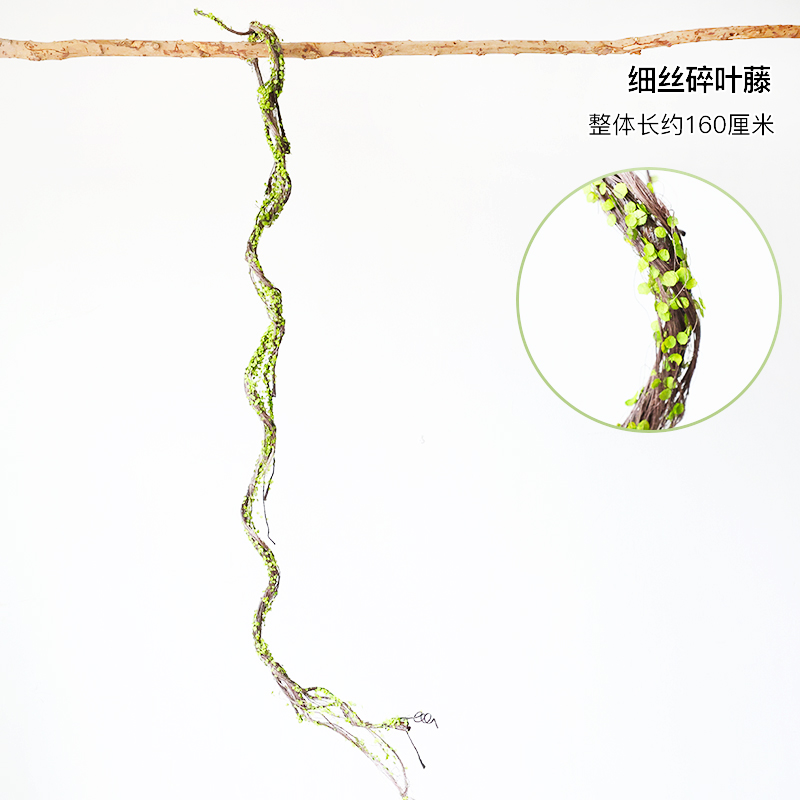 Thin broken leaf vine-dry branches