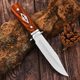 2025 new knife high hardness steel outdoor knife camping stainless steel multi-use modern simple knife solid wood wholesale