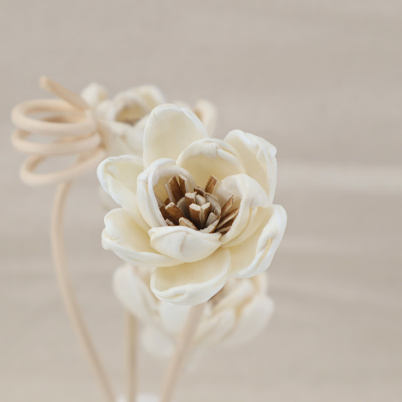 Inventario Wholesale| 4.5cm pequeña flor de loto flor de hierba nueva varilla de estilo chino flor de decoración aromática sin fuego flor seca aromática