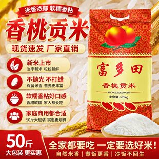 �����������ؕ��50�ﮔ�����������׽z�������������������25