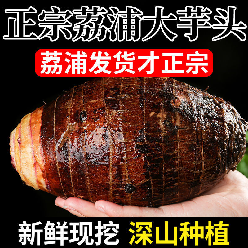 【荔浦直发】现挖现发正宗广西荔浦新鲜大芋头槟榔芋粉糯特大香芋