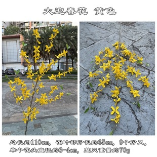 �����Sɫӭ�������Q�S�� ��ӭ���� С�黨��c�Ҿ�ܛ�b�ٻ����l