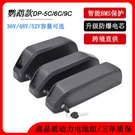 跨境供应鹦鹉款锂电池36V13Ah48V15Ah17.5Ah山地电动自行车电池组