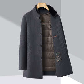 专柜毛呢外套男立领秋冬季短款休闲羽绒服内胆可拆中年羊毛大衣