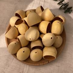 天然果壳凤凰蛋果tano材料包diy手作手摇铃风铃配件铁树果音疗愈