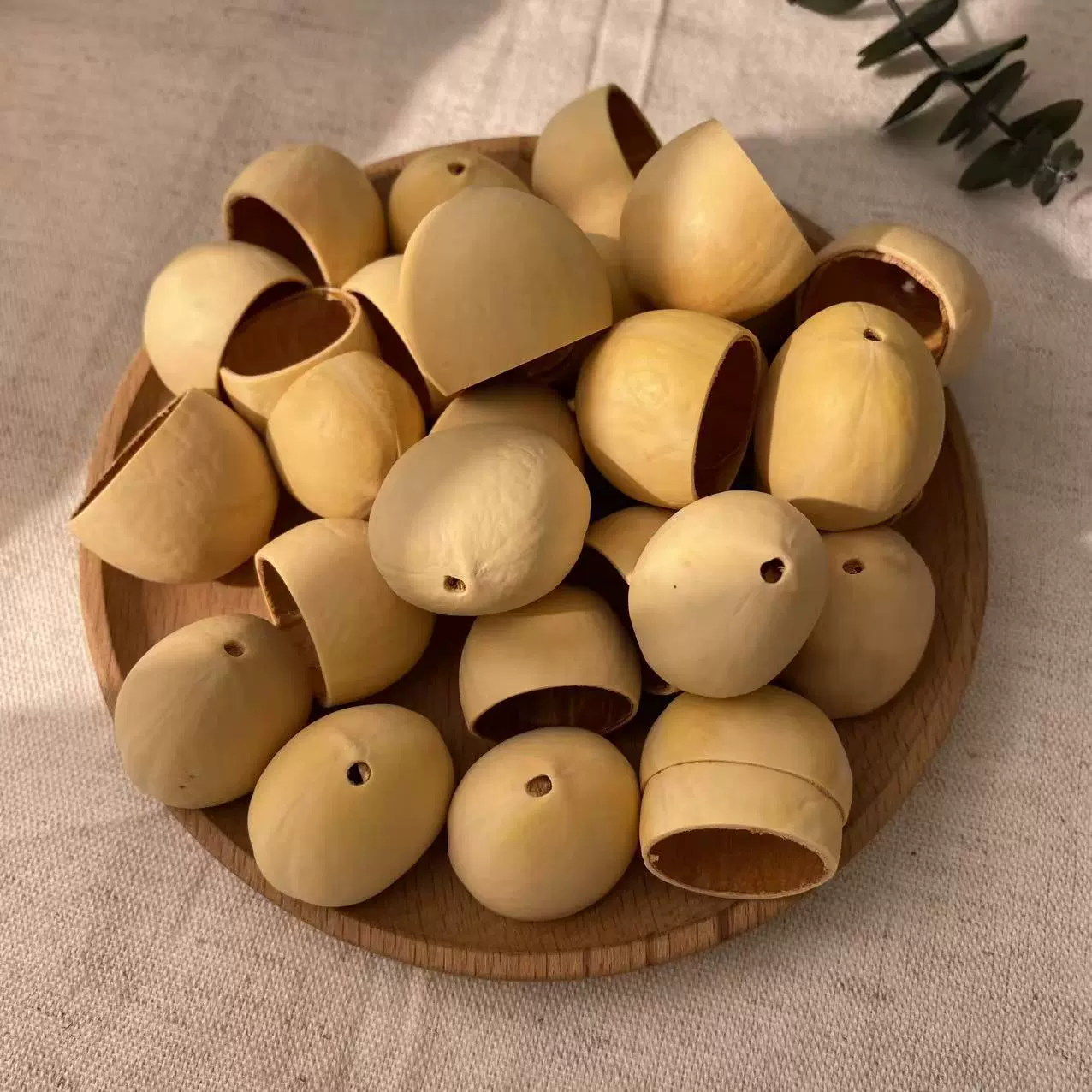 天然果壳凤凰蛋果tano材料包diy手作手摇铃风铃配件铁树果音疗愈