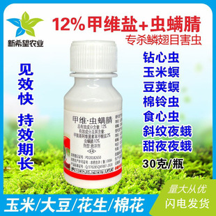 12%�׾S�}�x�\�� ���������v������x����xС�˶꿹�Ԛ��x���rș