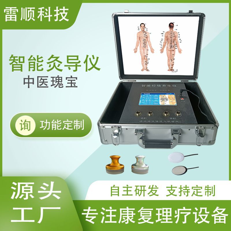 雷顺经络灸导仪痛症补元气美拓开宇斯康经络仪中医康复仪器厂家