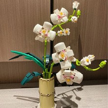 ������������ľ������ͯƴװDIY���ǻ����հڼ����ﴴ����޹����