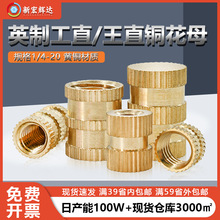 �~�Ͻ�Ӣ��1/4ä���S�~�L����ĸע����ĸͨ�ן�����ĸ�L���~��ĸ