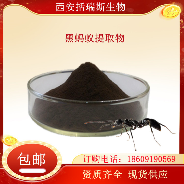 Black ant extract 20:1 black ant extract powder factory in stock amino acid protein 500 g/bag