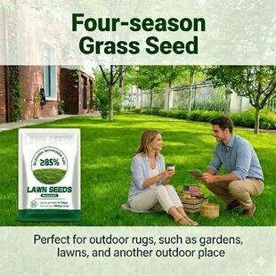 �羳2026 Evergreen Dwarf Grass Seed���G��������