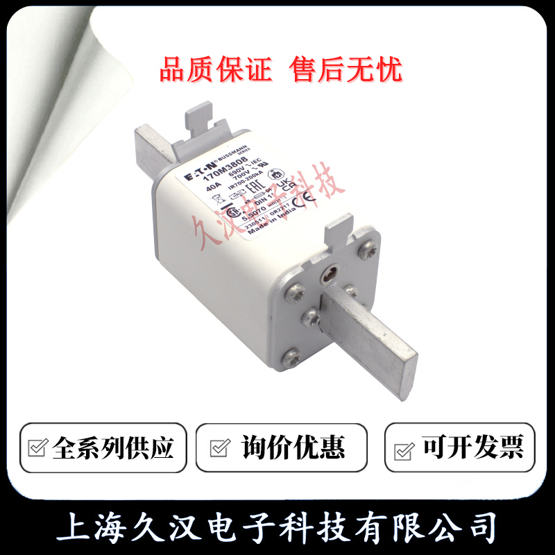 170M3808 170M3809 170M3810 170M3811 170M3812 BUSSMANN 熔断器
