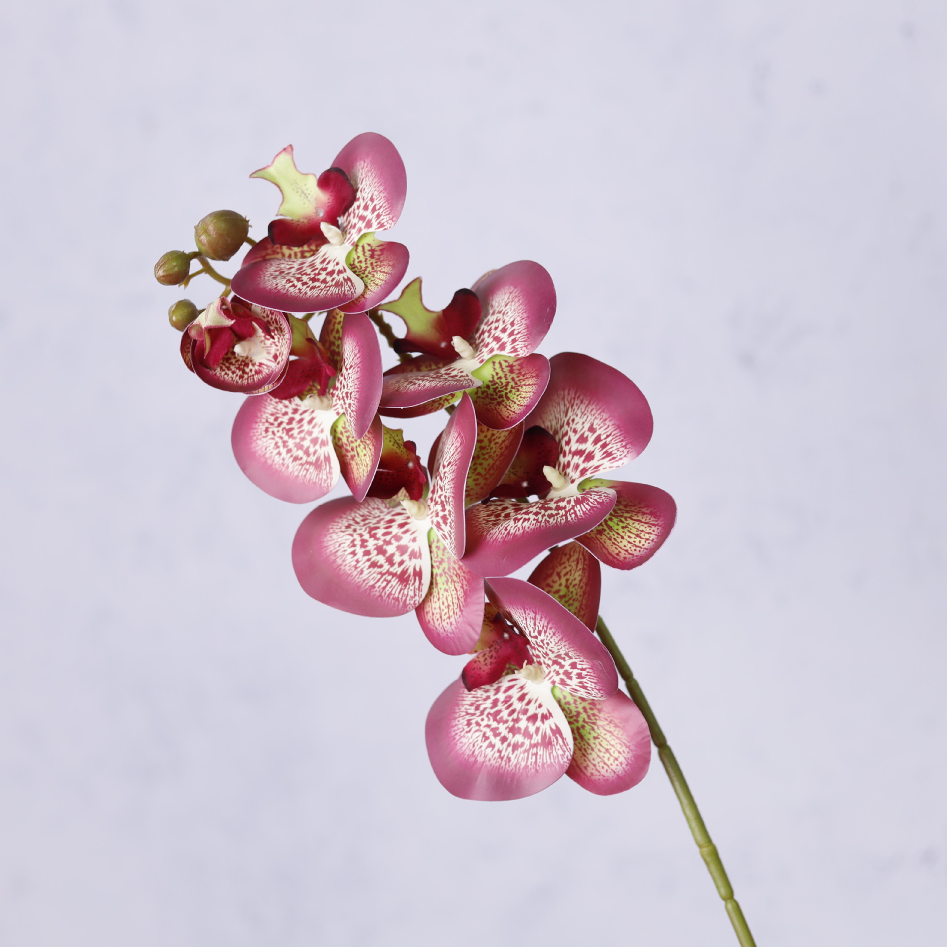 Impresión 3D de 7 cabezas de orquídeas mariposa flor de decoración de flores de alto nivel flor de nicho decoración floral decoración de sala de estar