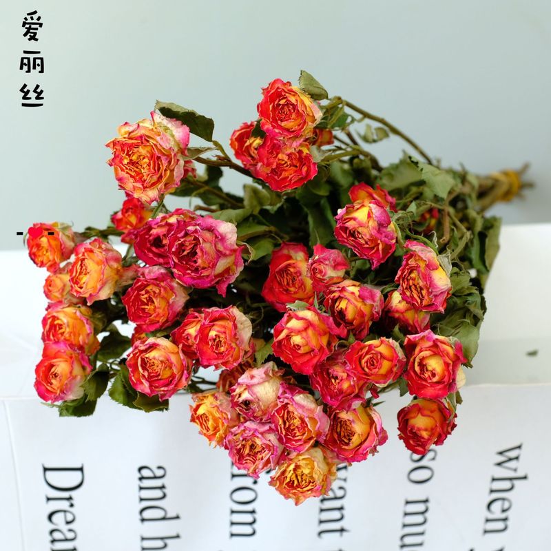 雲南昆明直発多頭バラの花の単頭バラの花の花束バラの泡飾りメーカーの卸売り|undefined