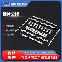 �����M��110 187 250��Ƭ���˽Ӿ���܇�����B�����B�m��ĸ����