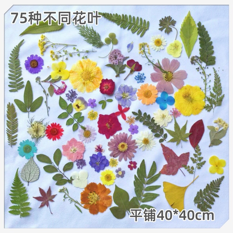 75종의 다양한 꽃과 잎