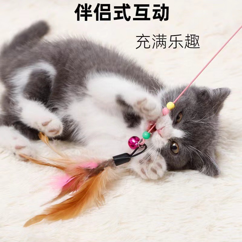ペット猫のおもちゃワイヤーフェザーキャットポール猫インタラクティブ弾性フェザーセルフエンジョイ耐性のある噛みつきロングポール猫ポール|undefined
