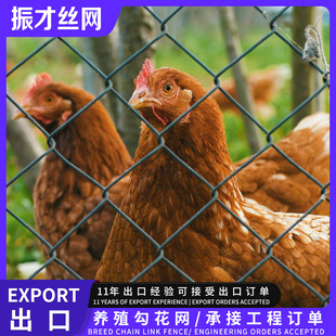 ���P����\�����F�z����������W�u��ţ��ř��Bֳ���ξ��������W