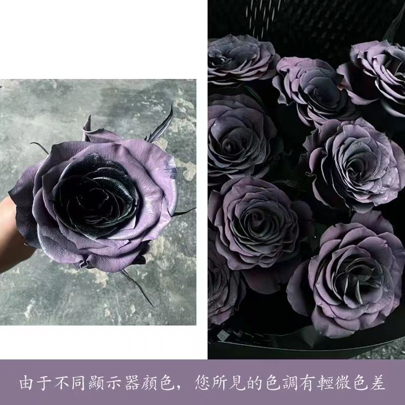 Internet celebridad ciruela negro rosa púrpura flores autopintadas agente de pulverización de color tinte floral spray colorante