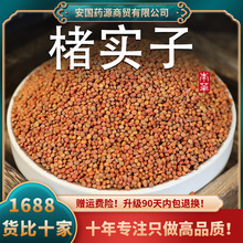 楮实子中药材褚实子诸实子楮实子茶楮实子果构树籽新鲜干货可打粉