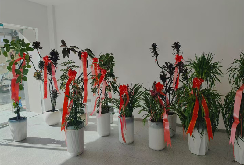 微信图片_20250115160029