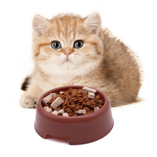 Pet feeder cat bowl plastic cat rice bowl dog bowl cat drink cat bowl cat food bowl pet food wholesale
