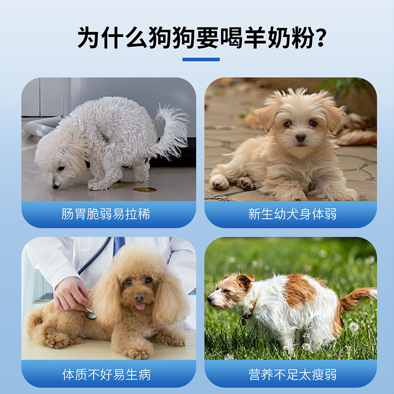 ペット用粉ミルク、ヤギミルク、乳糖ゼロ、子犬、成犬、小型犬、テディ、ゴールデンレトリバー専用粉ミルク、栄養補助食品|undefined