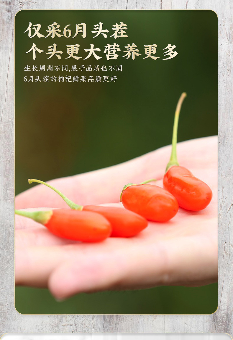 Goji Berries Ningxia Zhongning Large Grade 500g Sun Dried Red Wolfberry for Tea Soup and Soaking specifications