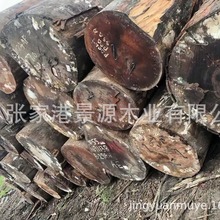 �������� ԭľ��� �Z�а� ������ ���� ������ �@�ֹŽ���