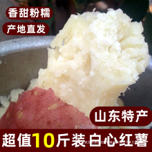 �F�����r���İ����t��ɳ�ذ�ȿ�عϱ����Ĺ��ܰ���ɽ�|�خa������