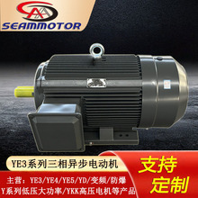 �ӱ���������������YE3-6��2.2KW-315kw��Ч�����첽�綯��
