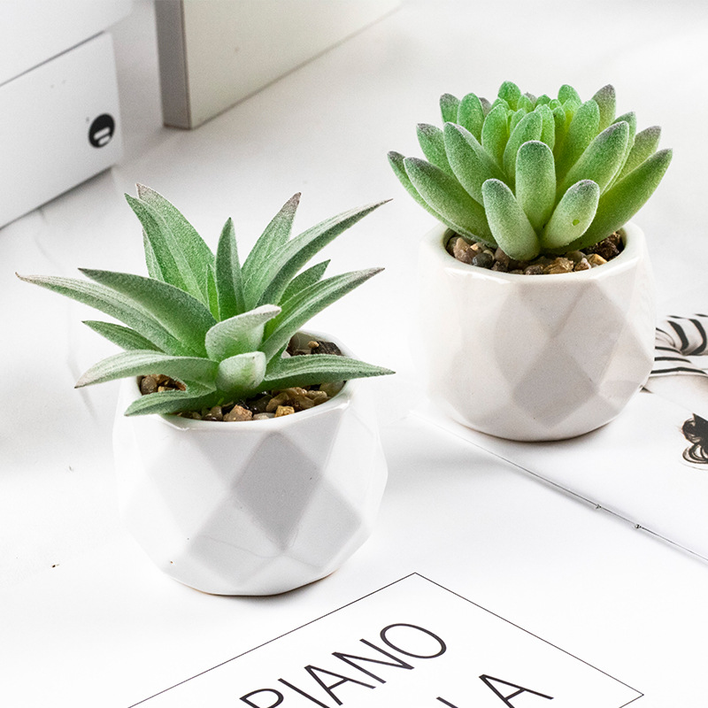 2개의 화분을 합치면 총 2개의 화분이 됩니다.