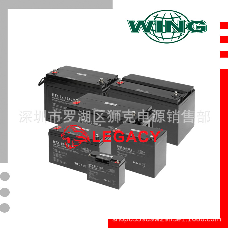 WING电池ES33-12 德国WING电池12V33AH精密仪器 机械臂应急储能