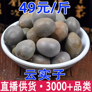 녌��� �R�� ������ ��ľ�����l���l