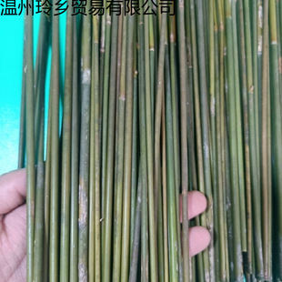 С�������׃��@DTY����l��Ϳ���С�A�ܟ��u�羳